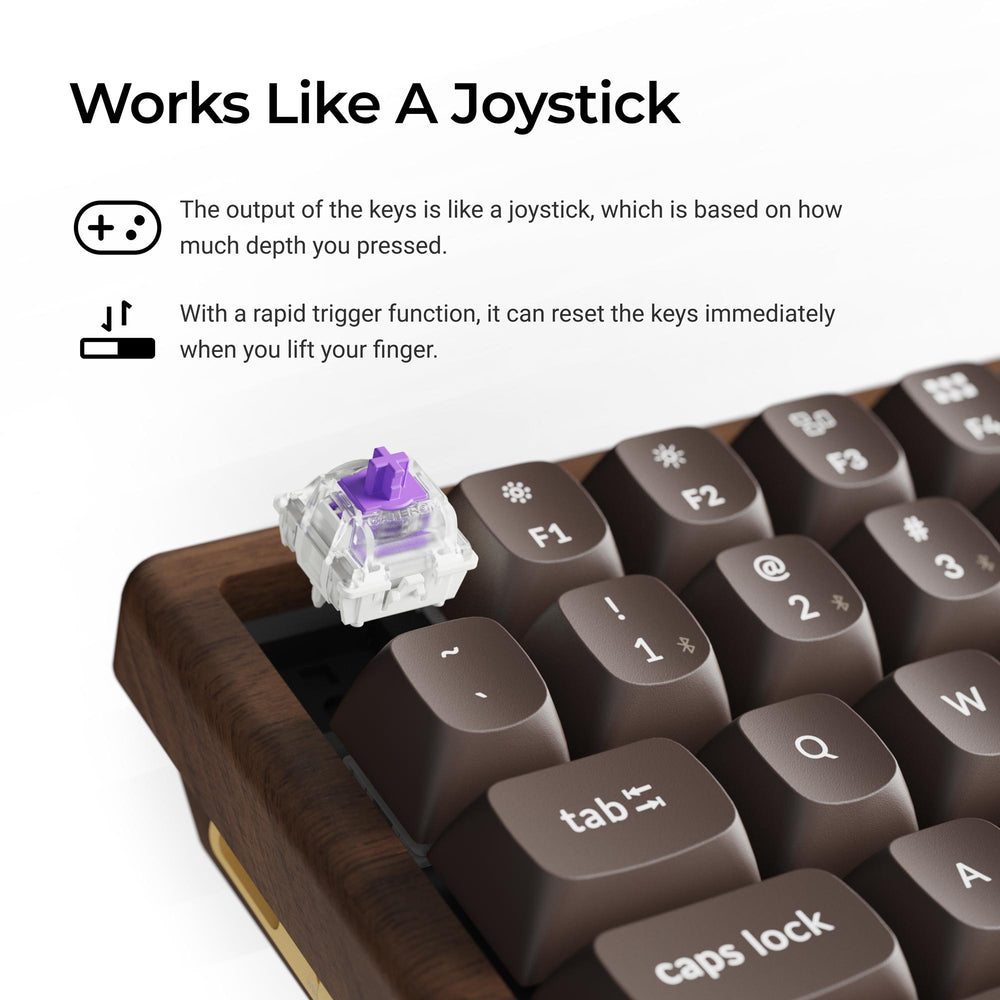 Teclado Personalizado Keychron K2 HE Inalámbrico con Interruptores Magnéticos (Edición Especial Todo Madera)