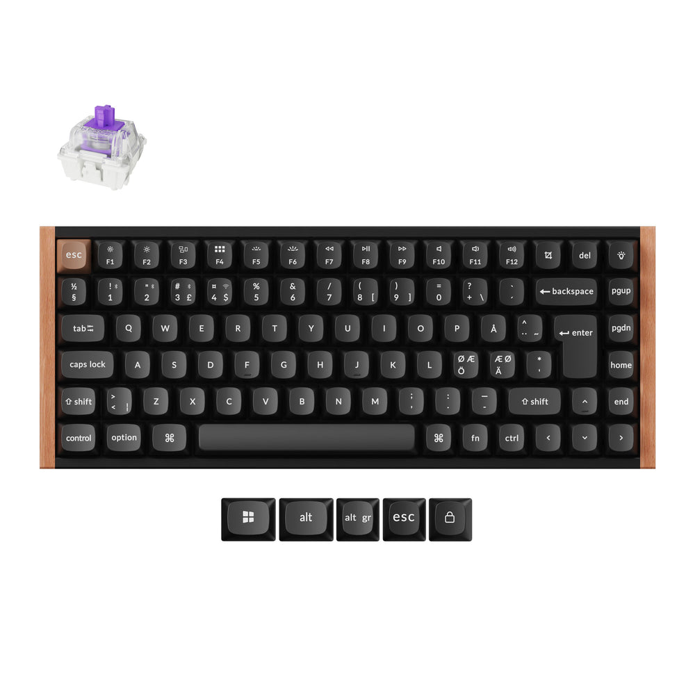 Colección de teclado personalizado con interruptor magnético inalámbrico Keychron K2 HE diseño ISO