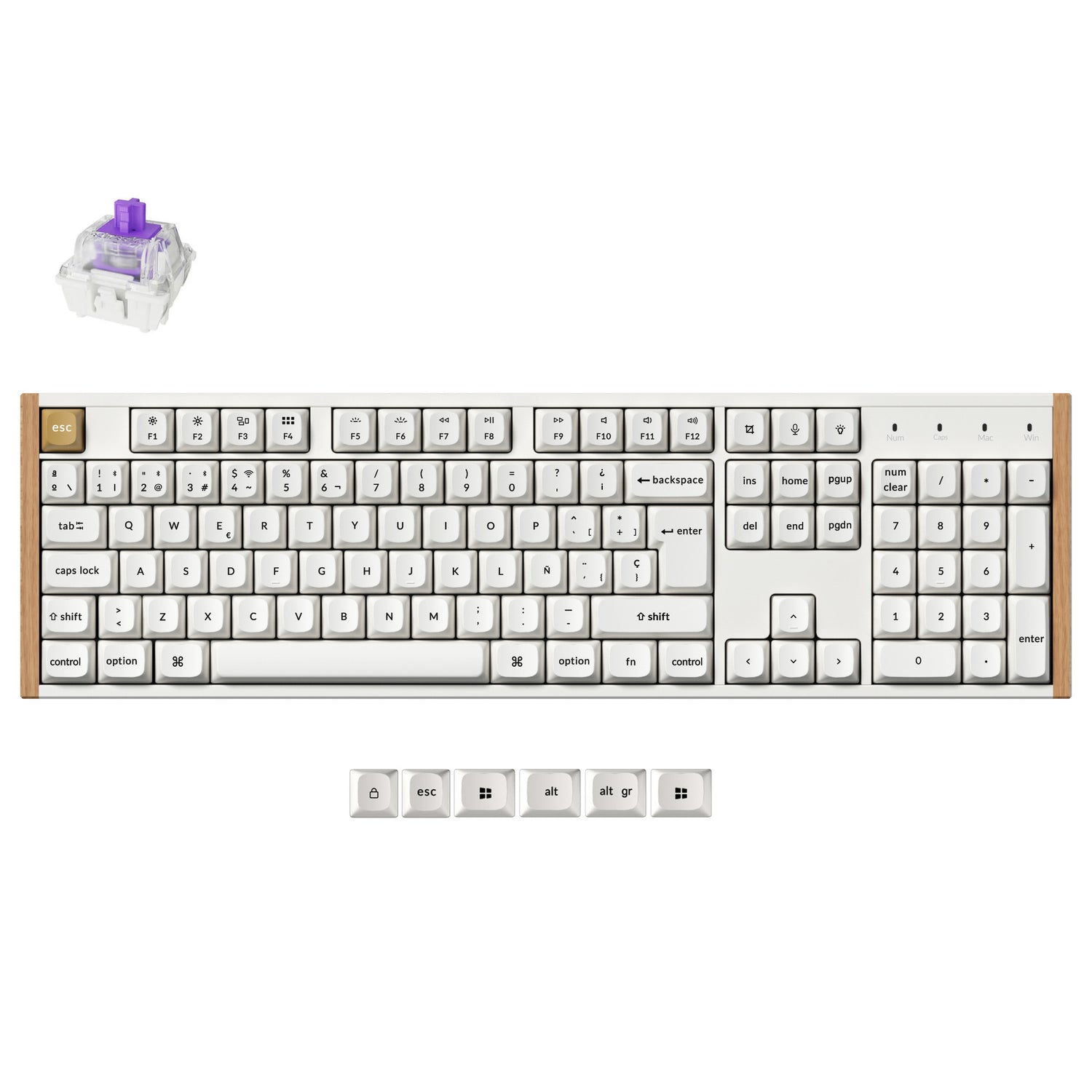 Colección de Teclados Personalizados Keychron K10 HE Inalámbrico con Interruptores Magnéticos Distribución ISO