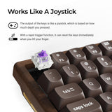 Teclado Personalizado Keychron K2 HE Inalámbrico con Interruptores Magnéticos (Edición Especial Todo Madera)