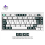 Keychron Q1 HE QMK Wireless Custom Keyboard ISO Layout Collection